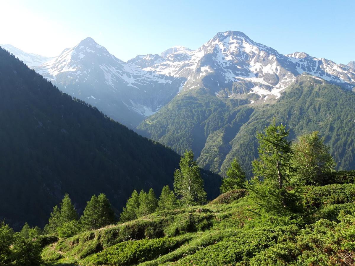 Chalet Bietschhorn Rosswald Termen Екстериор снимка